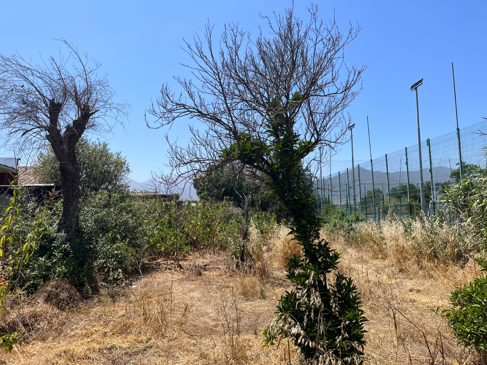 Terreno con Alto Potencial en Ubicación Estratégica - Imagen 7