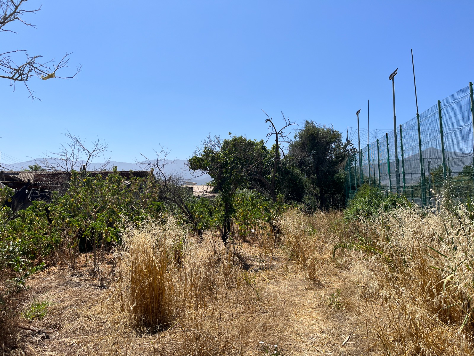 Terreno con Alto Potencial en Ubicación Estratégica - Imagen 8