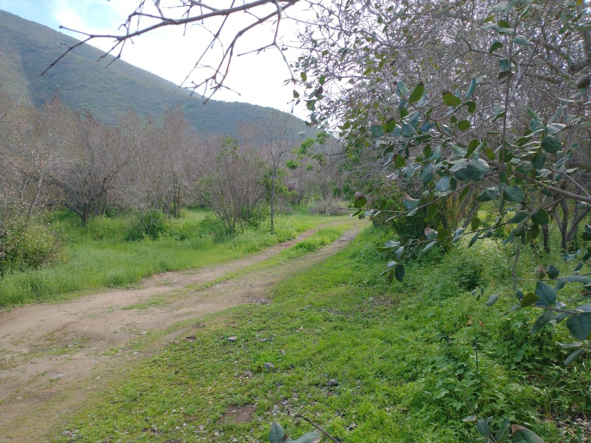 Parcela en Loteo Privado en Quebrada Alvarado, Olmué, Valparaíso - Imagen 3