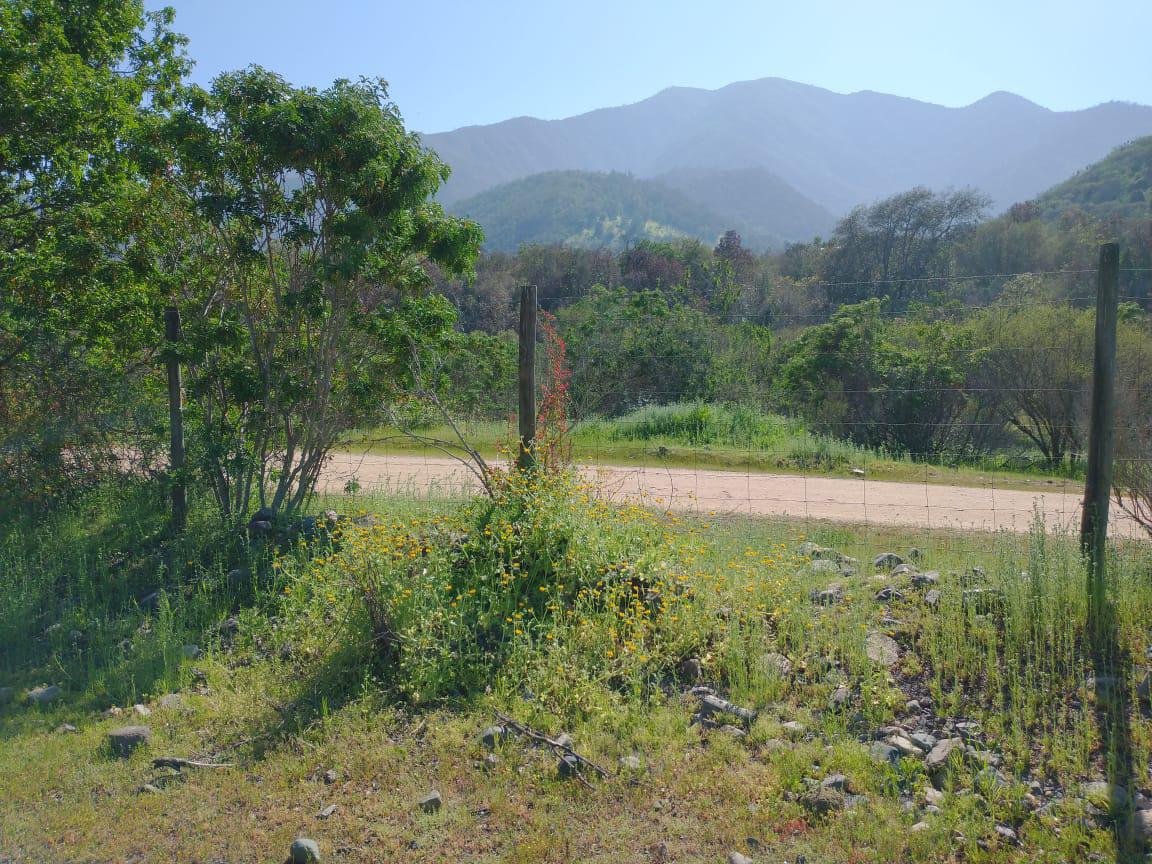Parcela en Loteo Privado en Quebrada Alvarado, Olmué, Valparaíso - Imagen 4