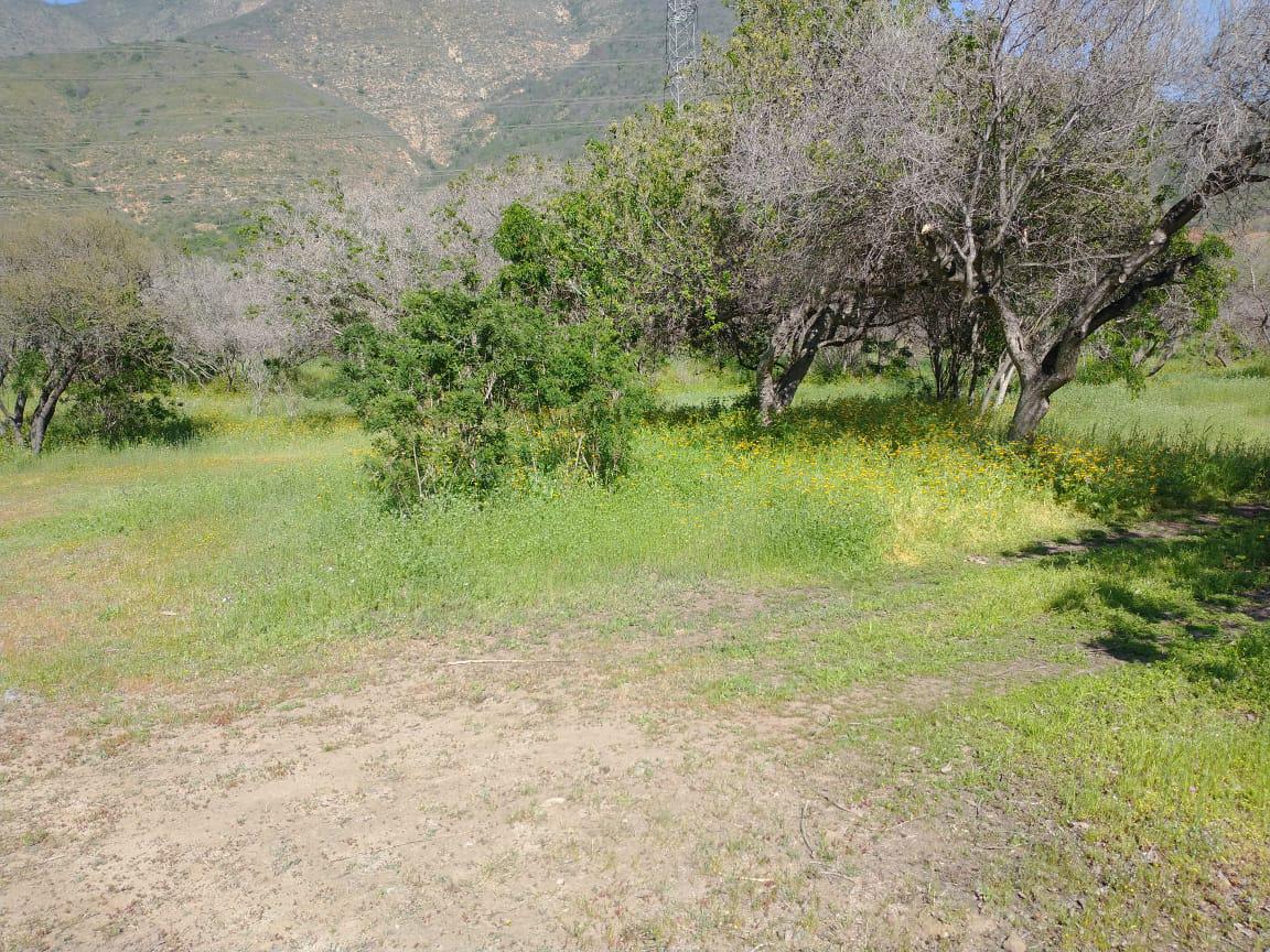Parcela en Loteo Privado en Quebrada Alvarado, Olmué, Valparaíso - Imagen 6