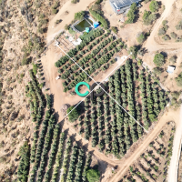 Parcela con 5.000 m² de terreno en Venta – San Isidro, Quillota (Código CPP3) 