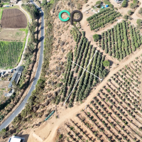 Parcela con 5.000 m² de terreno en Venta – San Isidro, Quillota (Código CPP1)
