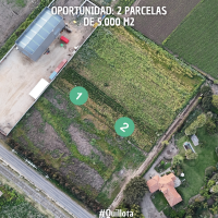 Oportunidad: 2 parcelas de 5.000 m² en Quillota
