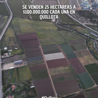 Gran Oportunidad para Inversionistas – 25 Hectáreas Planas en Quillota