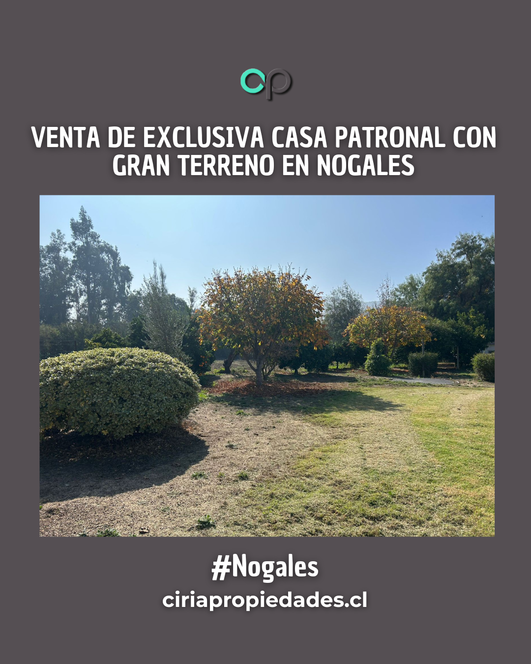 Venta de exclusiva casa patronal con gran terreno en Nogales - Imagen 14