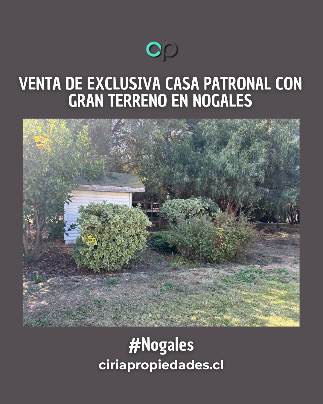 Venta de exclusiva casa patronal con gran terreno en Nogales - Imagen 3