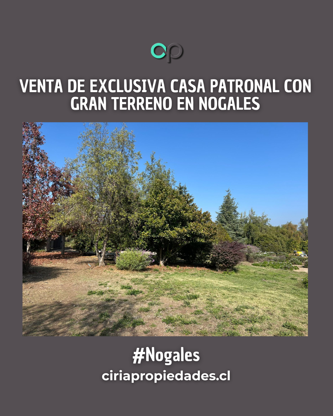Venta de exclusiva casa patronal con gran terreno en Nogales - Imagen 8