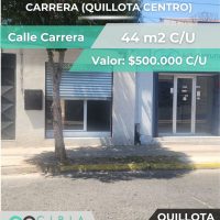 2 Locales en arriendo en Carrera (Quillota centro)