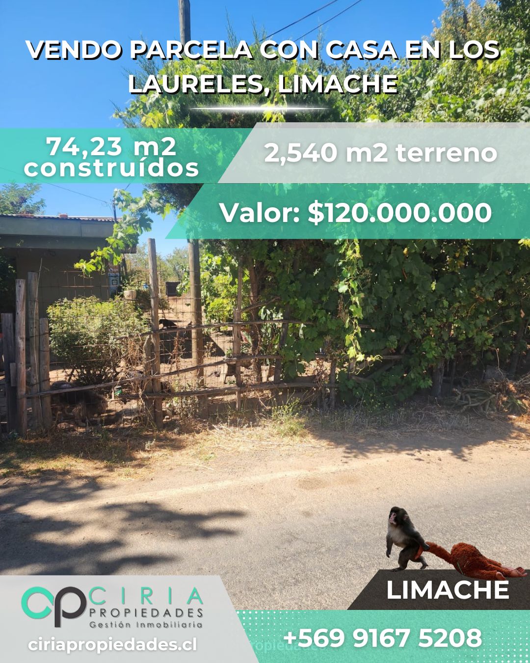 Parcela con casa en Los Laureles, Limache - Imagen 2