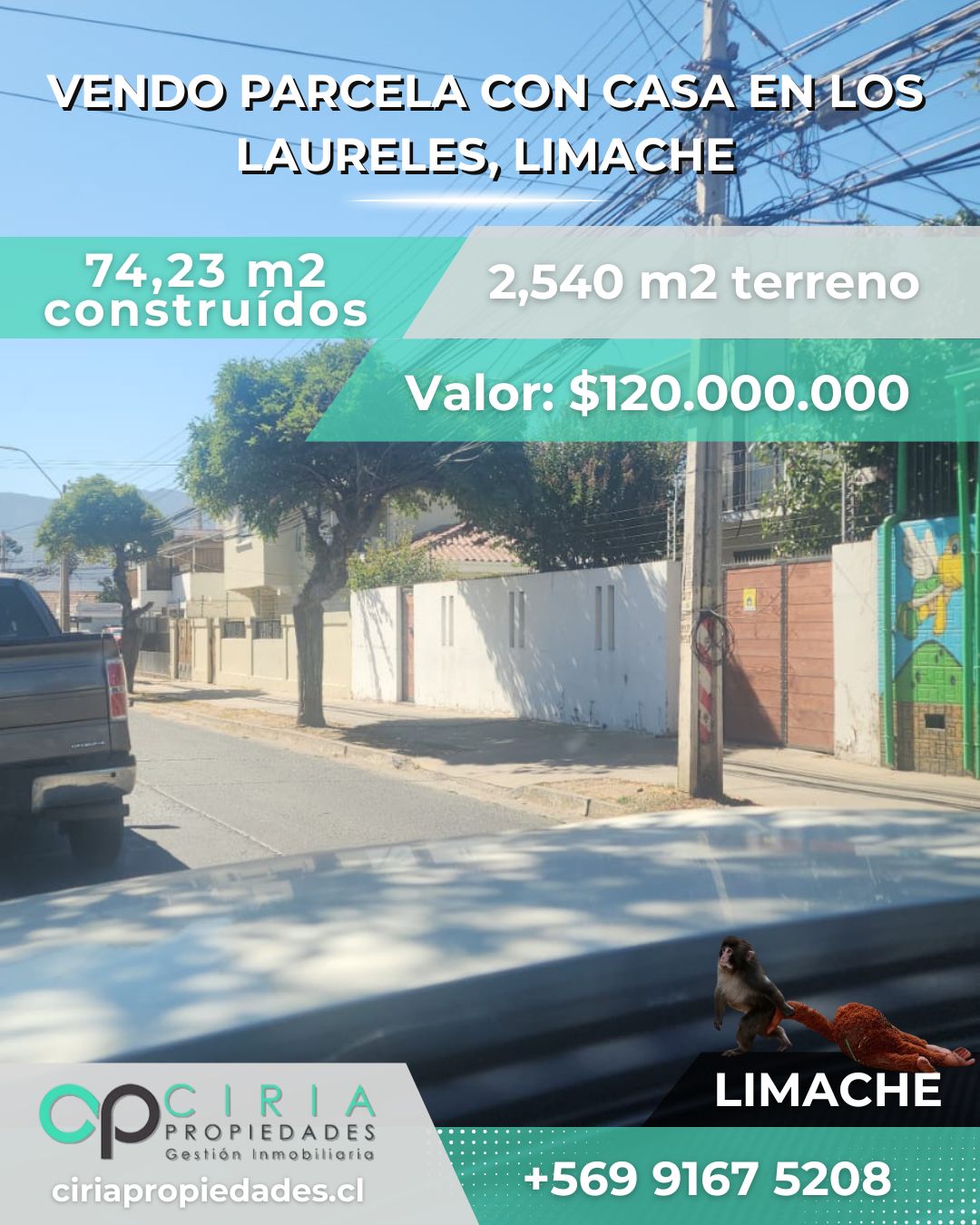 Parcela con casa en Los Laureles, Limache - Imagen 3