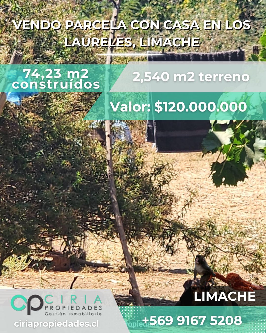 Parcela con casa en Los Laureles, Limache - Imagen 5