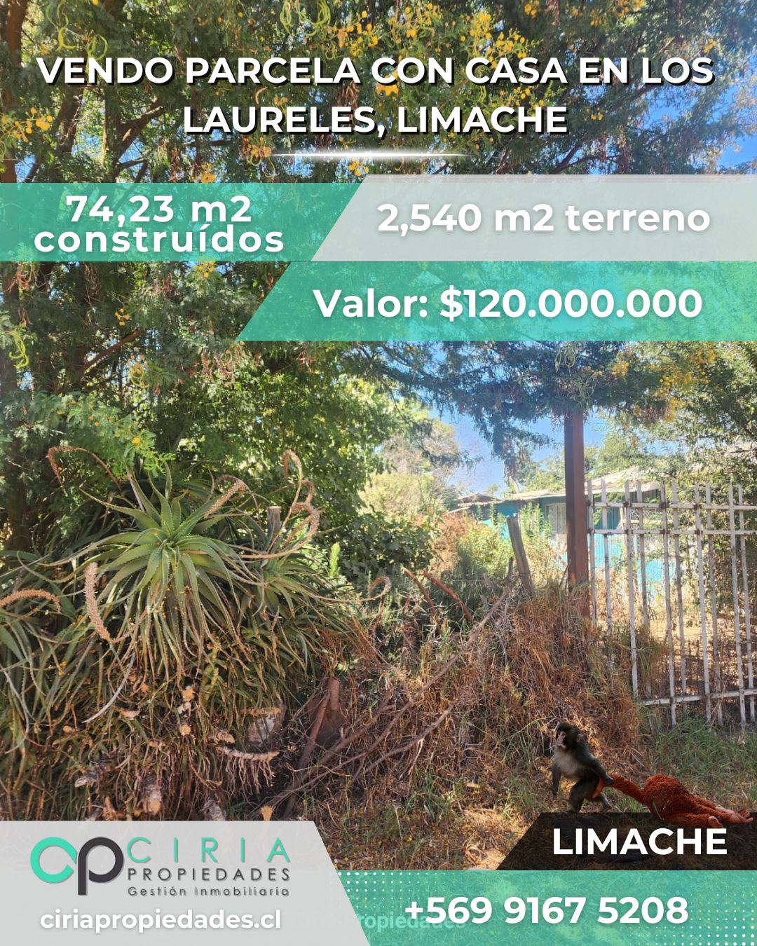 Parcela con casa en Los Laureles, Limache - Imagen 6