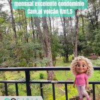 Pucón, arriendo Depto 1D 1B 1E  mensual excelente condominio  Cam.al volcán Km1.5