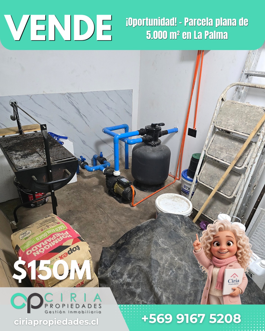 ¡Oportunidad! - Parcela plana de 5.000 m² en La Palma - Imagen 15
