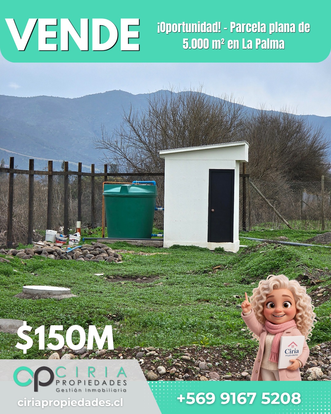 ¡Oportunidad! - Parcela plana de 5.000 m² en La Palma - Imagen 16