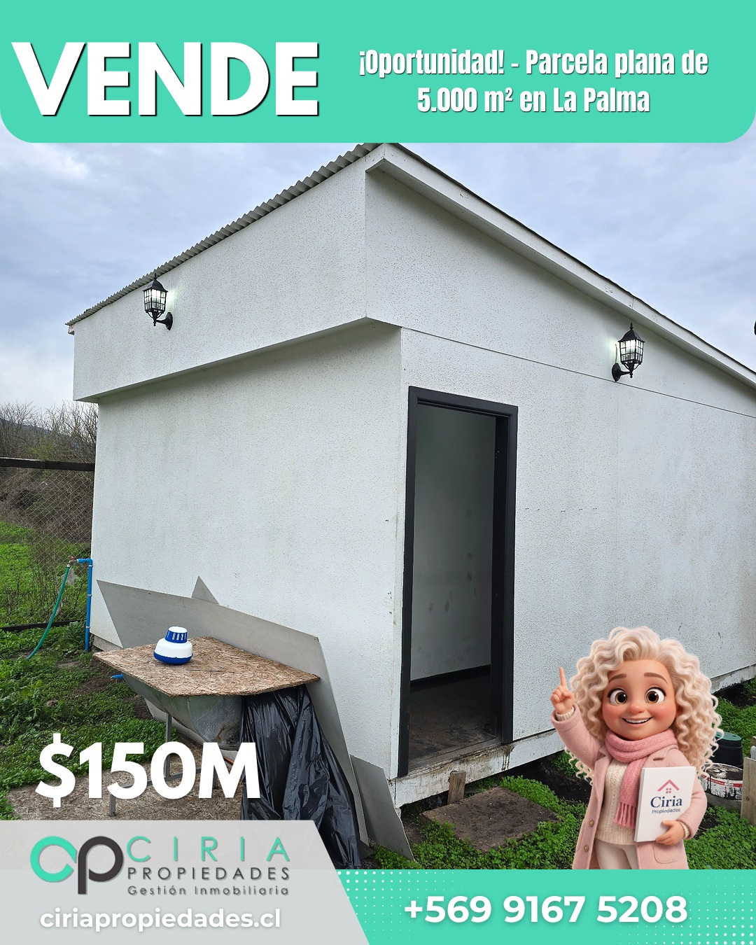 ¡Oportunidad! - Parcela plana de 5.000 m² en La Palma - Imagen 17
