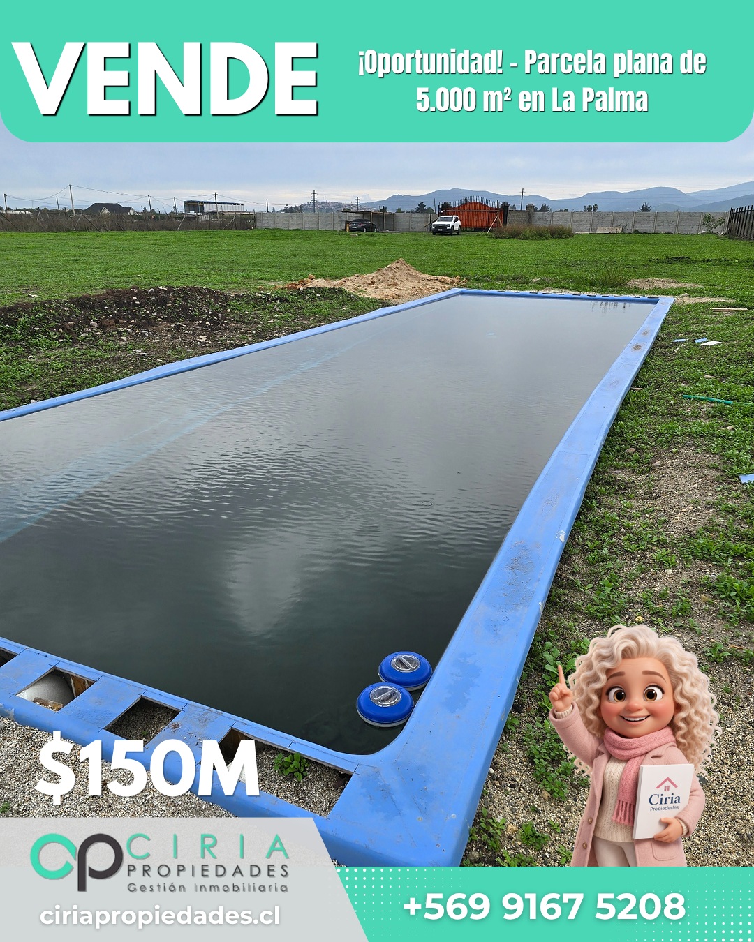 ¡Oportunidad! - Parcela plana de 5.000 m² en La Palma - Imagen 10
