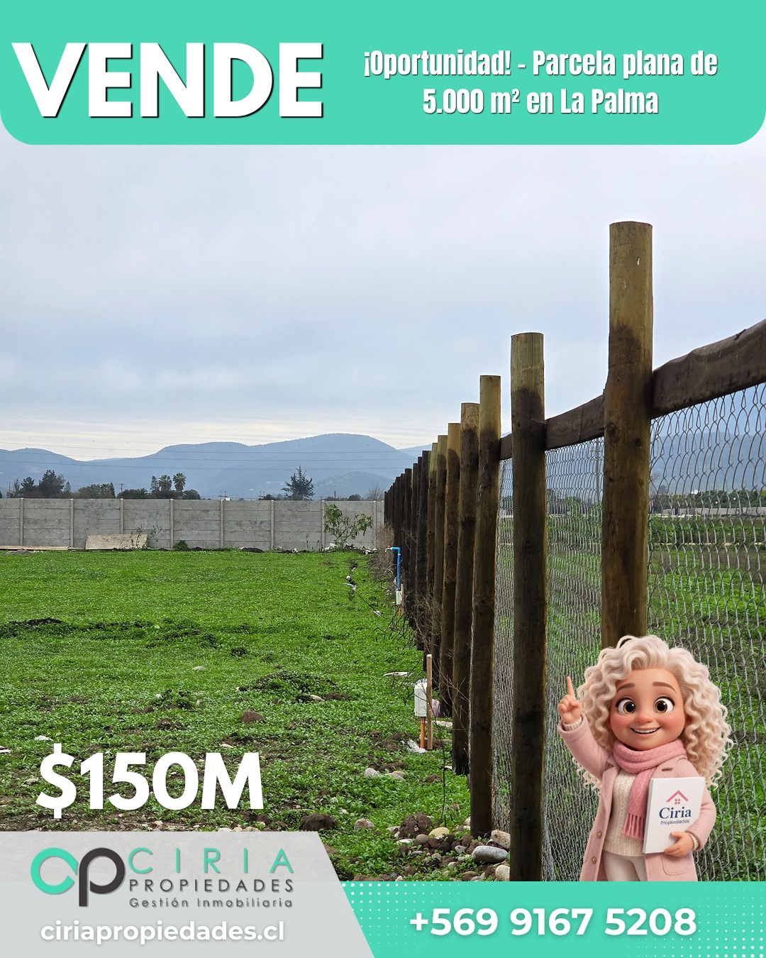 ¡Oportunidad! - Parcela plana de 5.000 m² en La Palma - Imagen 12