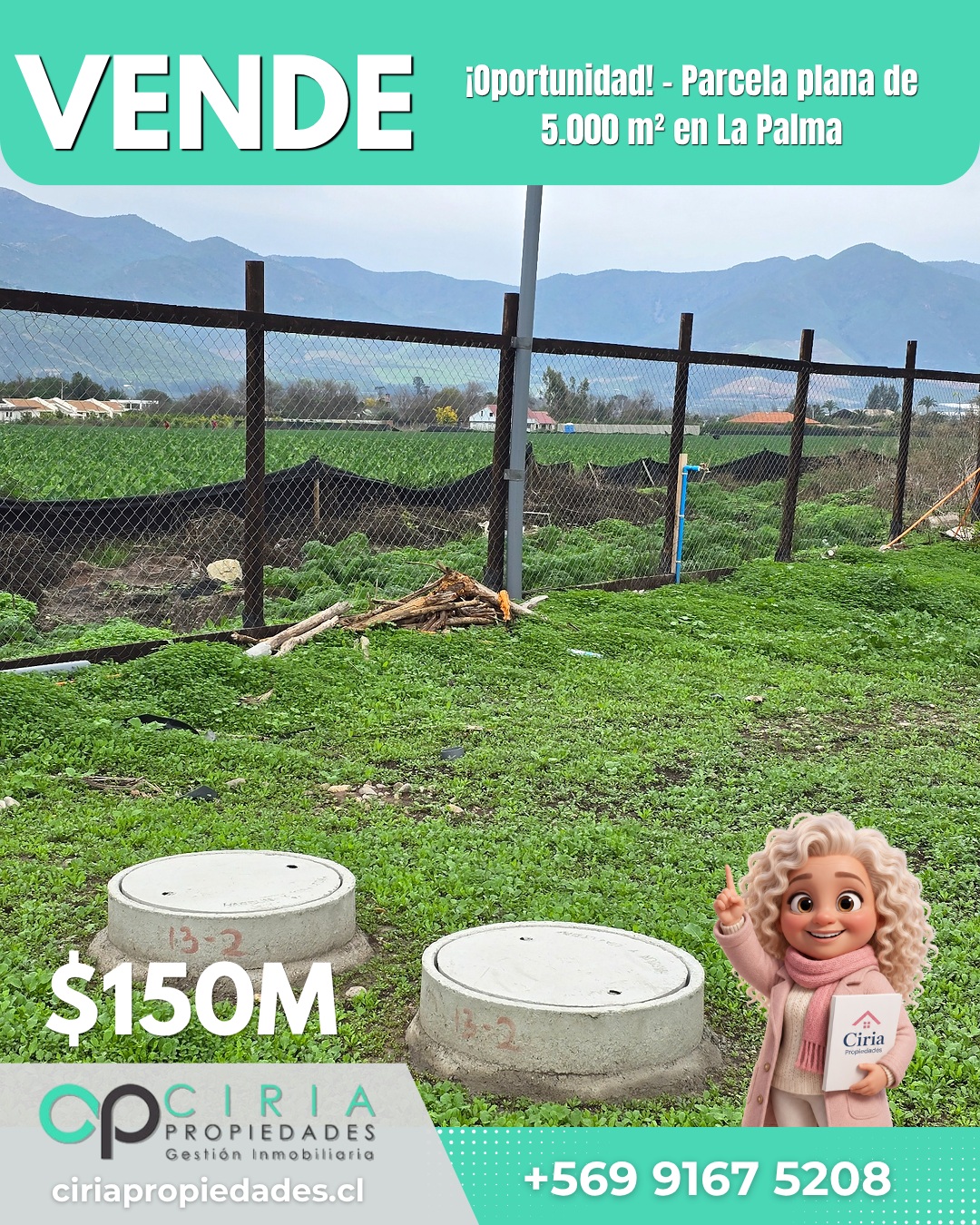 ¡Oportunidad! - Parcela plana de 5.000 m² en La Palma - Imagen 13