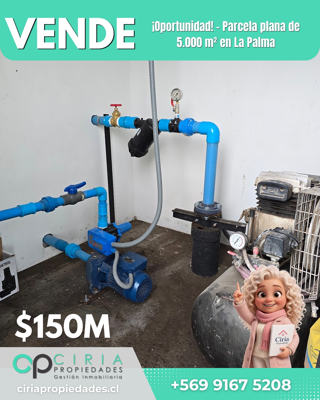 ¡Oportunidad! - Parcela plana de 5.000 m² en La Palma - Imagen 8