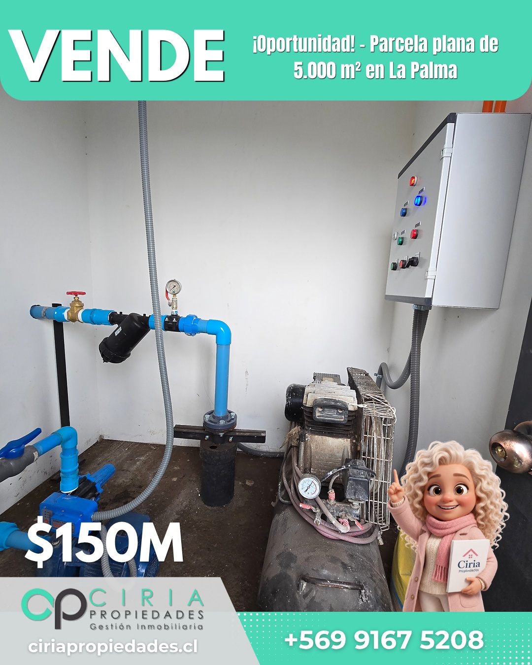 ¡Oportunidad! - Parcela plana de 5.000 m² en La Palma - Imagen 9