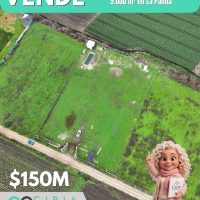 ¡Oportunidad! - Parcela plana de 5.000 m² en La Palma