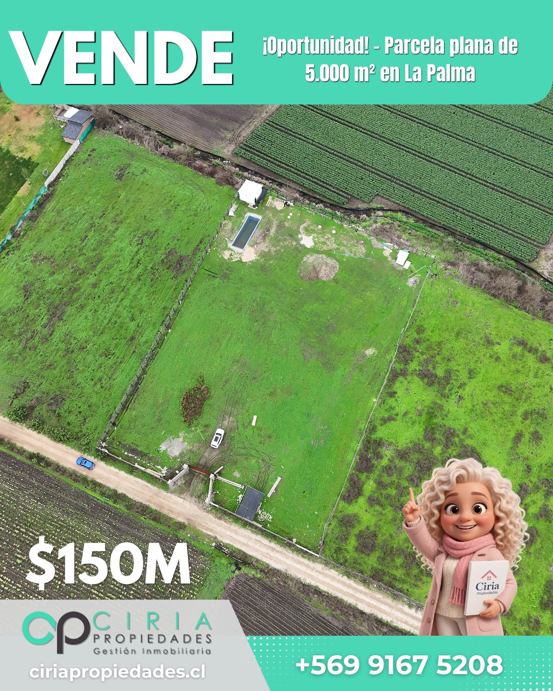 ¡Oportunidad! - Parcela plana de 5.000 m² en La Palma