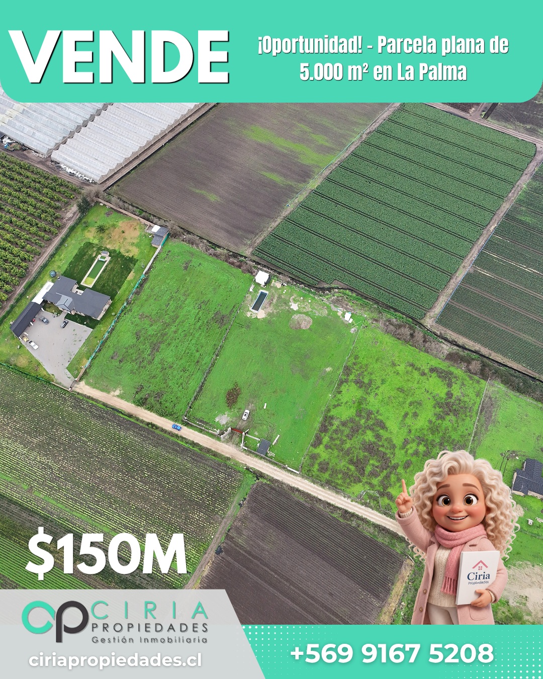 ¡Oportunidad! - Parcela plana de 5.000 m² en La Palma - Imagen 5