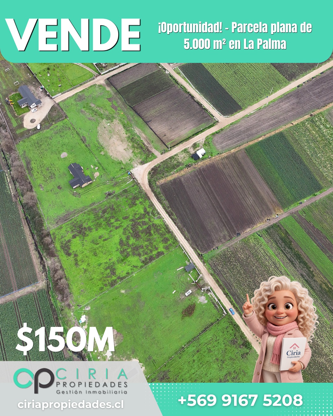 ¡Oportunidad! - Parcela plana de 5.000 m² en La Palma - Imagen 6