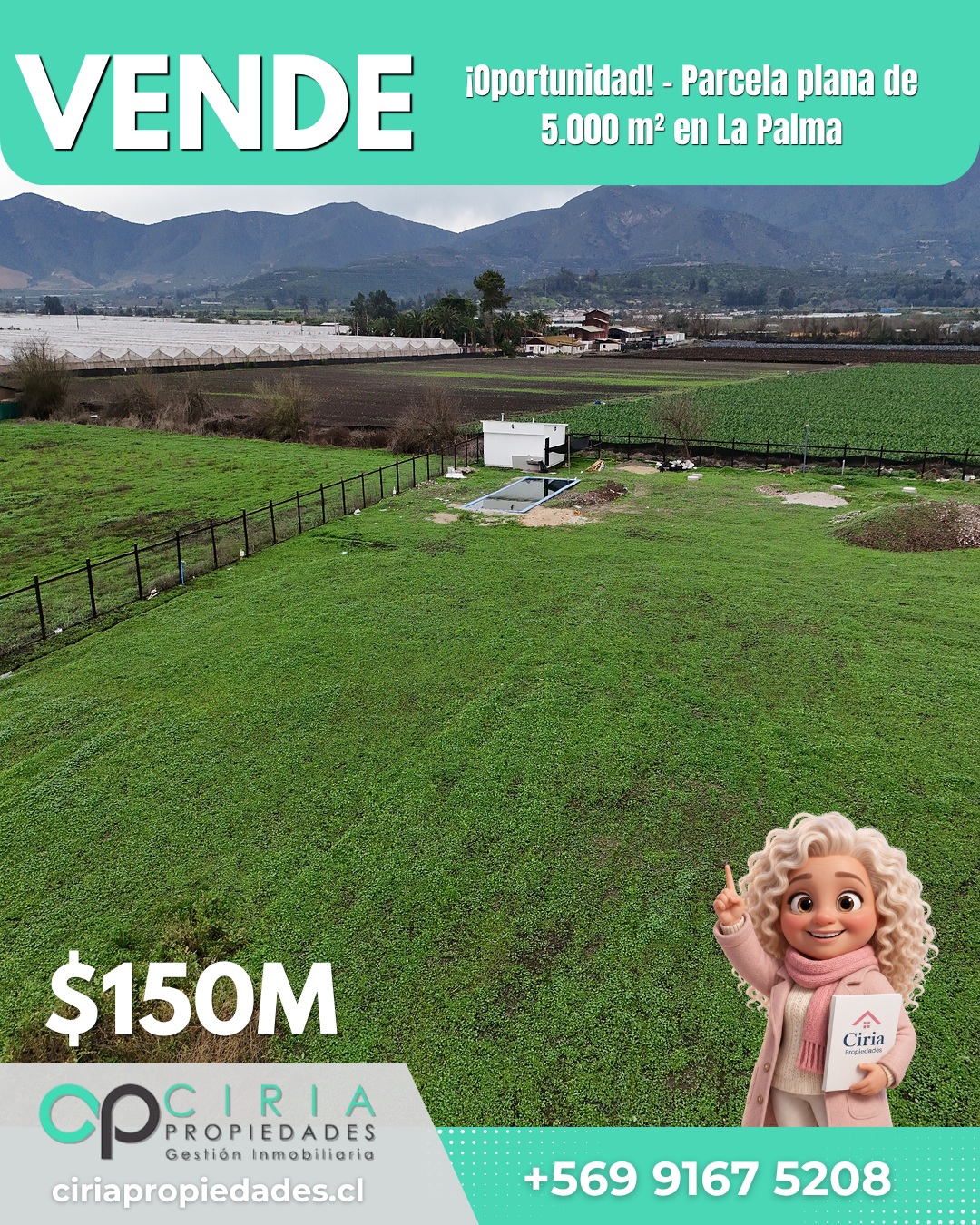 ¡Oportunidad! - Parcela plana de 5.000 m² en La Palma - Imagen 7