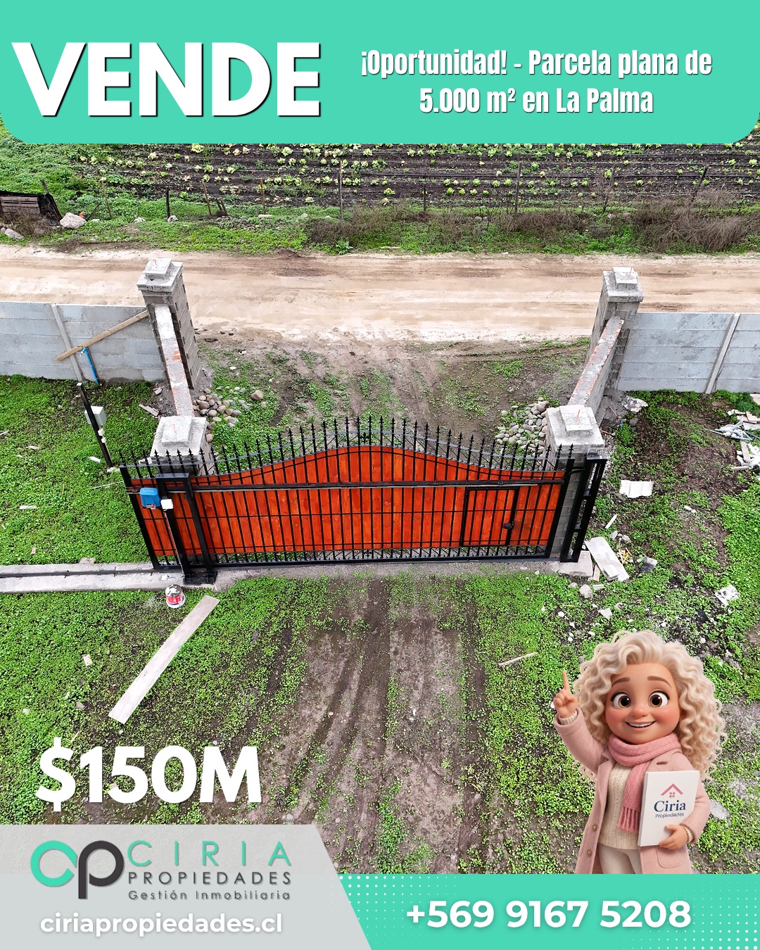 ¡Oportunidad! - Parcela plana de 5.000 m² en La Palma - Imagen 2