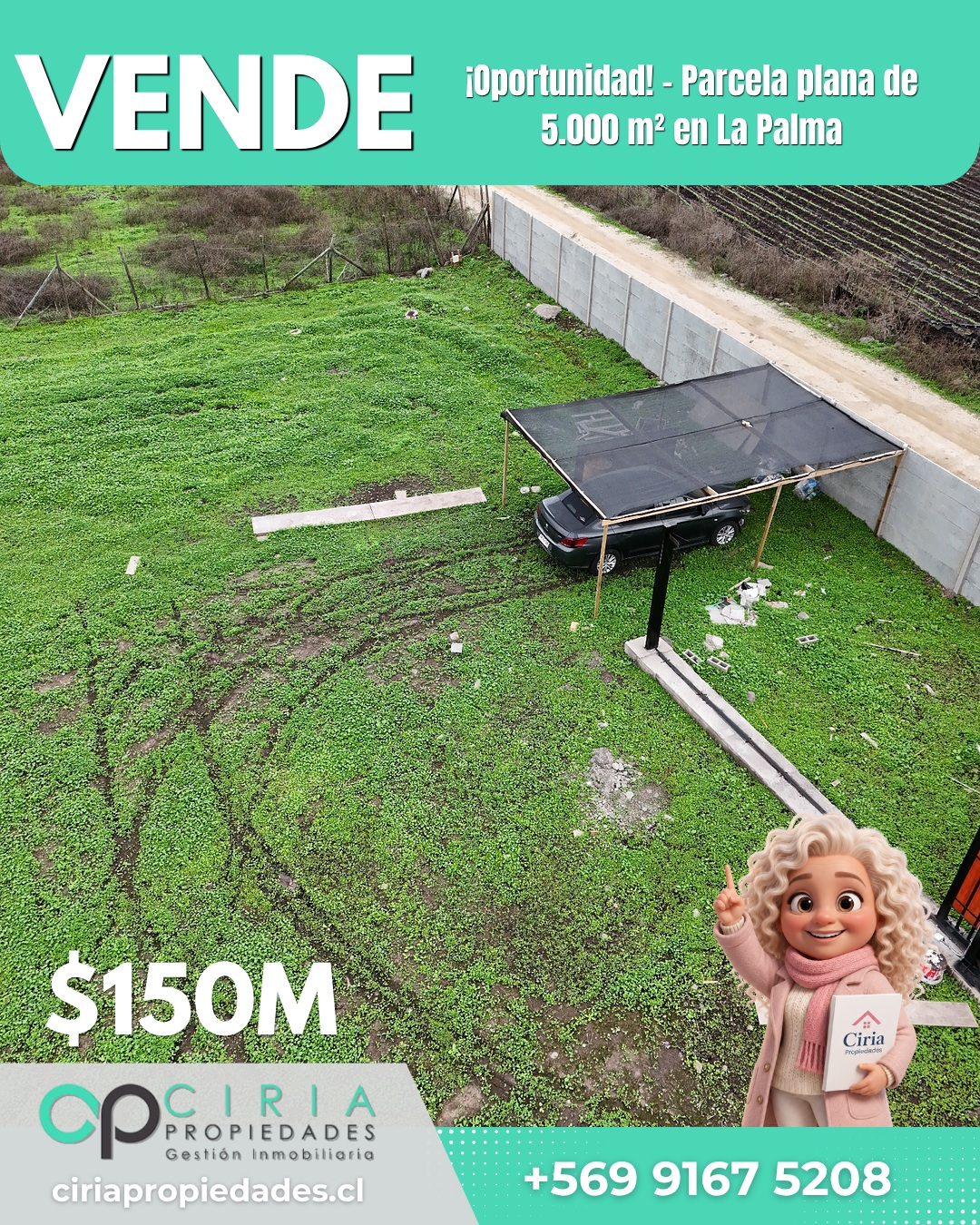 ¡Oportunidad! - Parcela plana de 5.000 m² en La Palma - Imagen 3