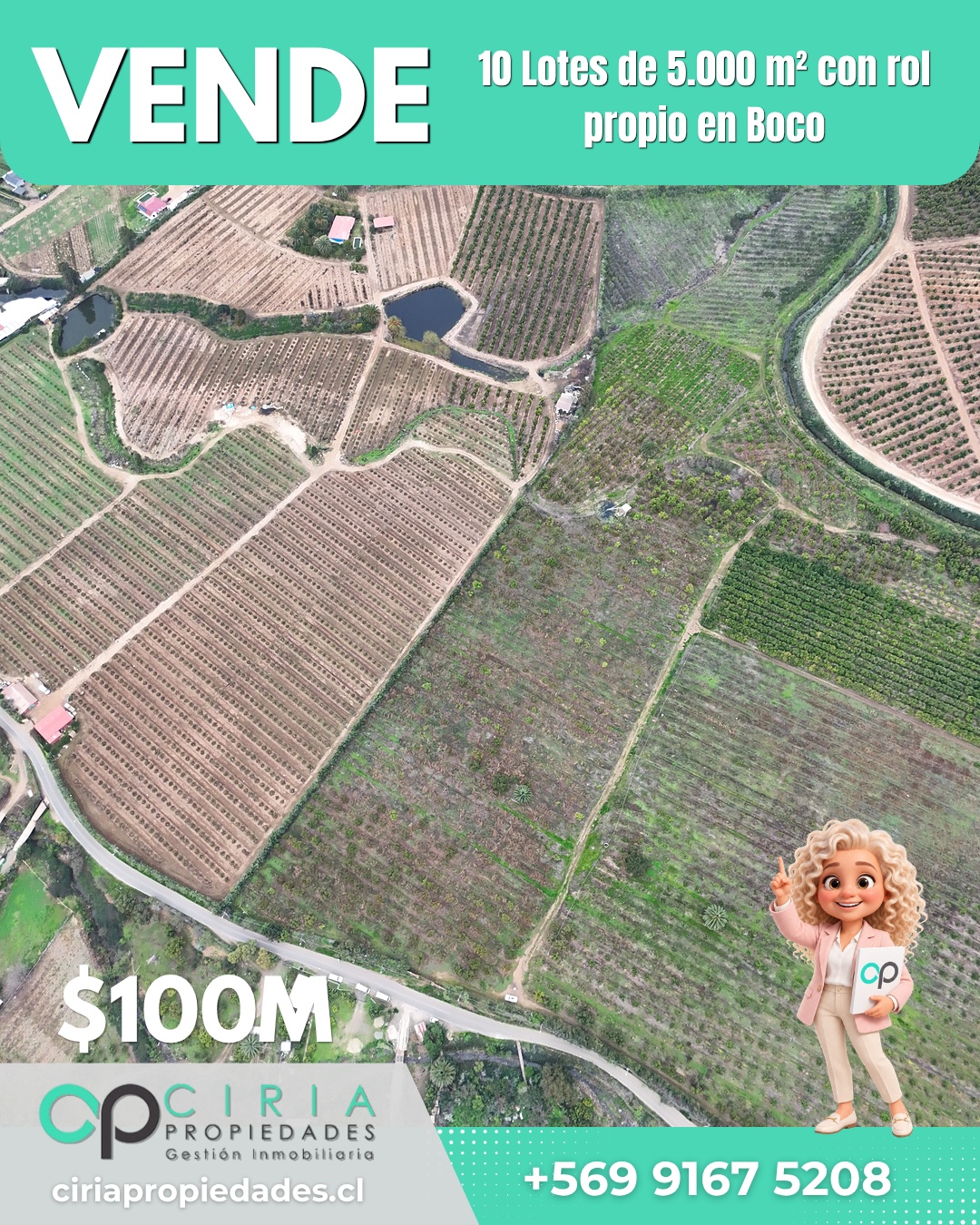 10 Lotes de 5.000 m² con rol propio en Boco - Quillota