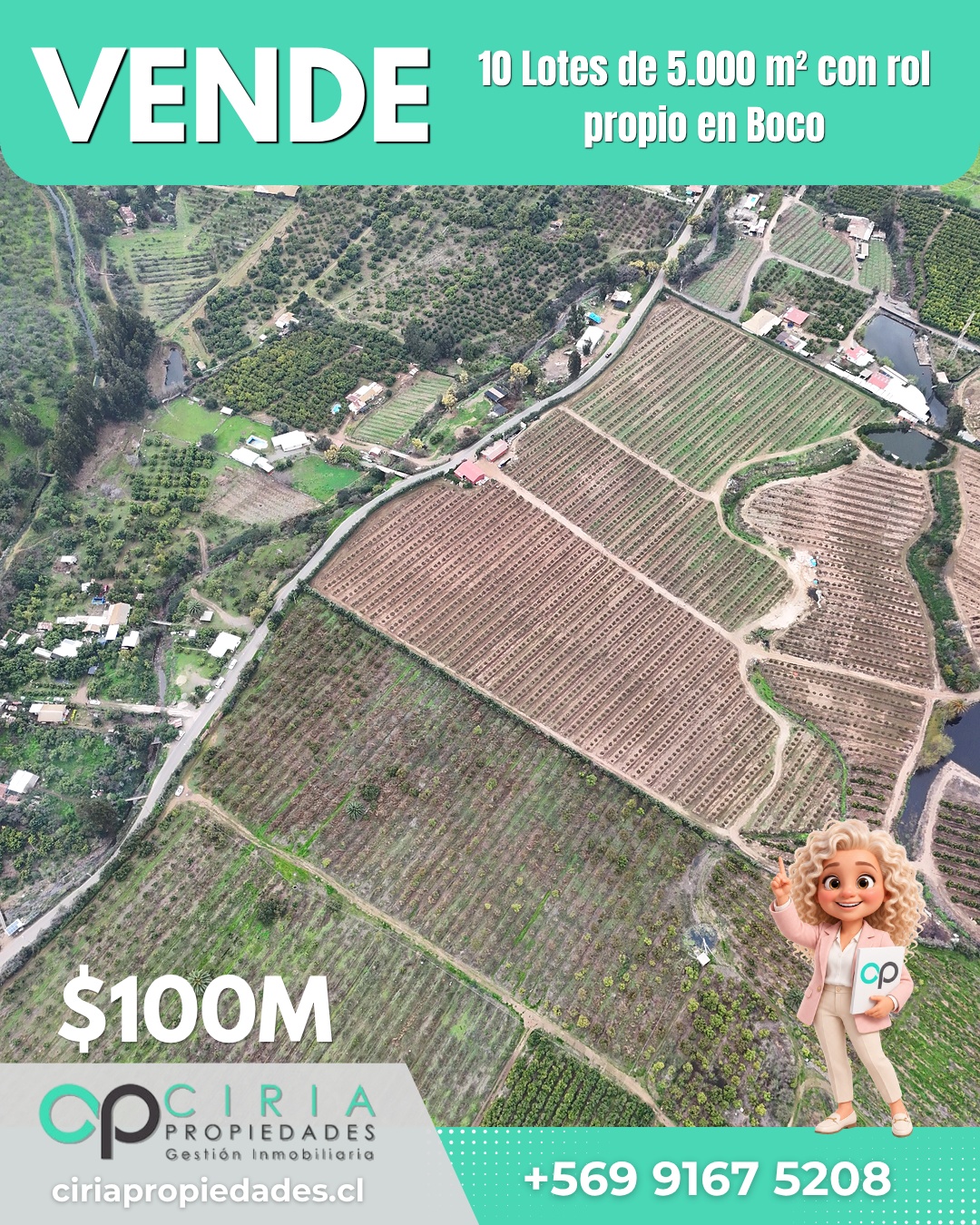 10 Lotes de 5.000 m² con rol propio en Boco - Quillota - Imagen 9