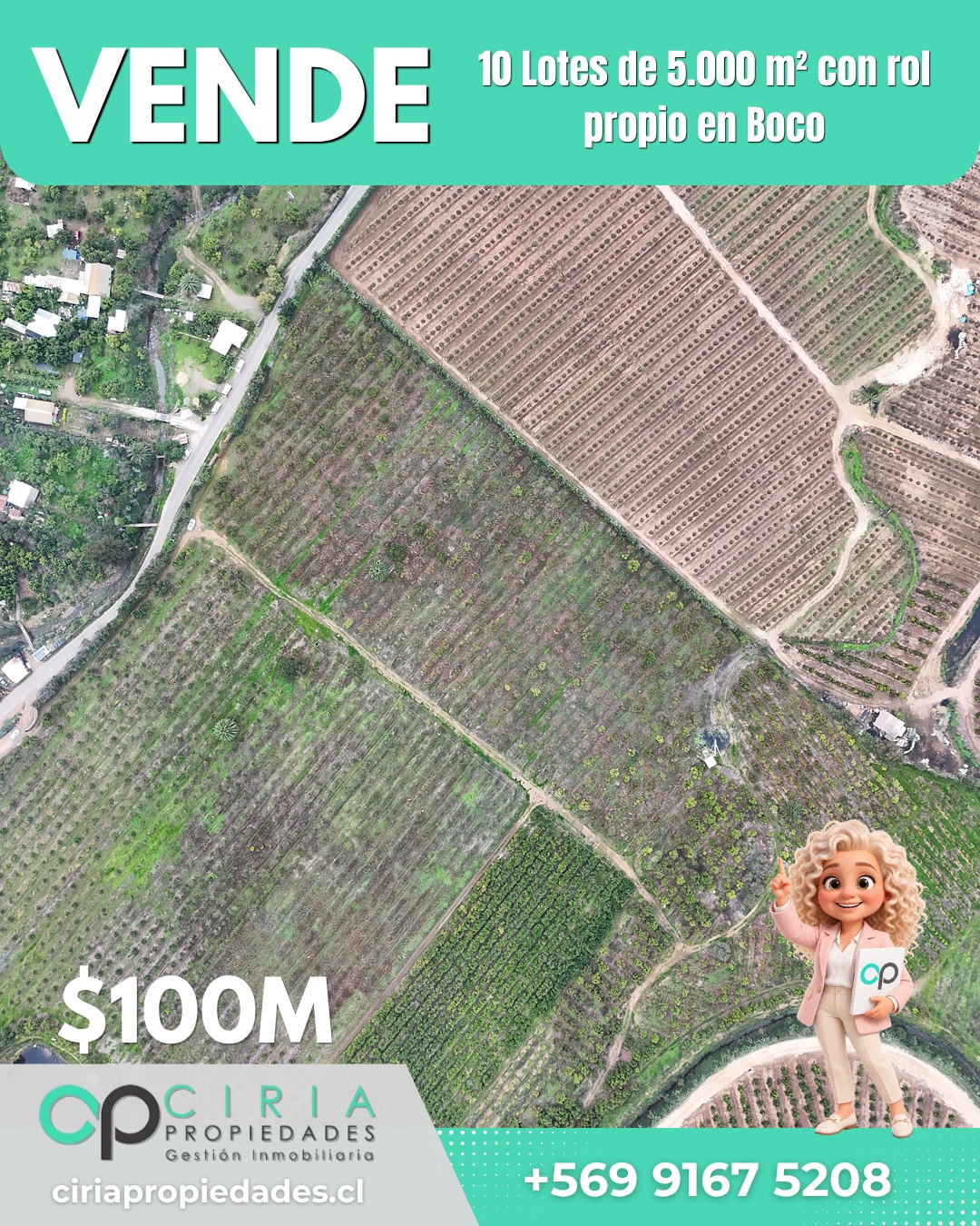 10 Lotes de 5.000 m² con rol propio en Boco - Quillota - Imagen 8