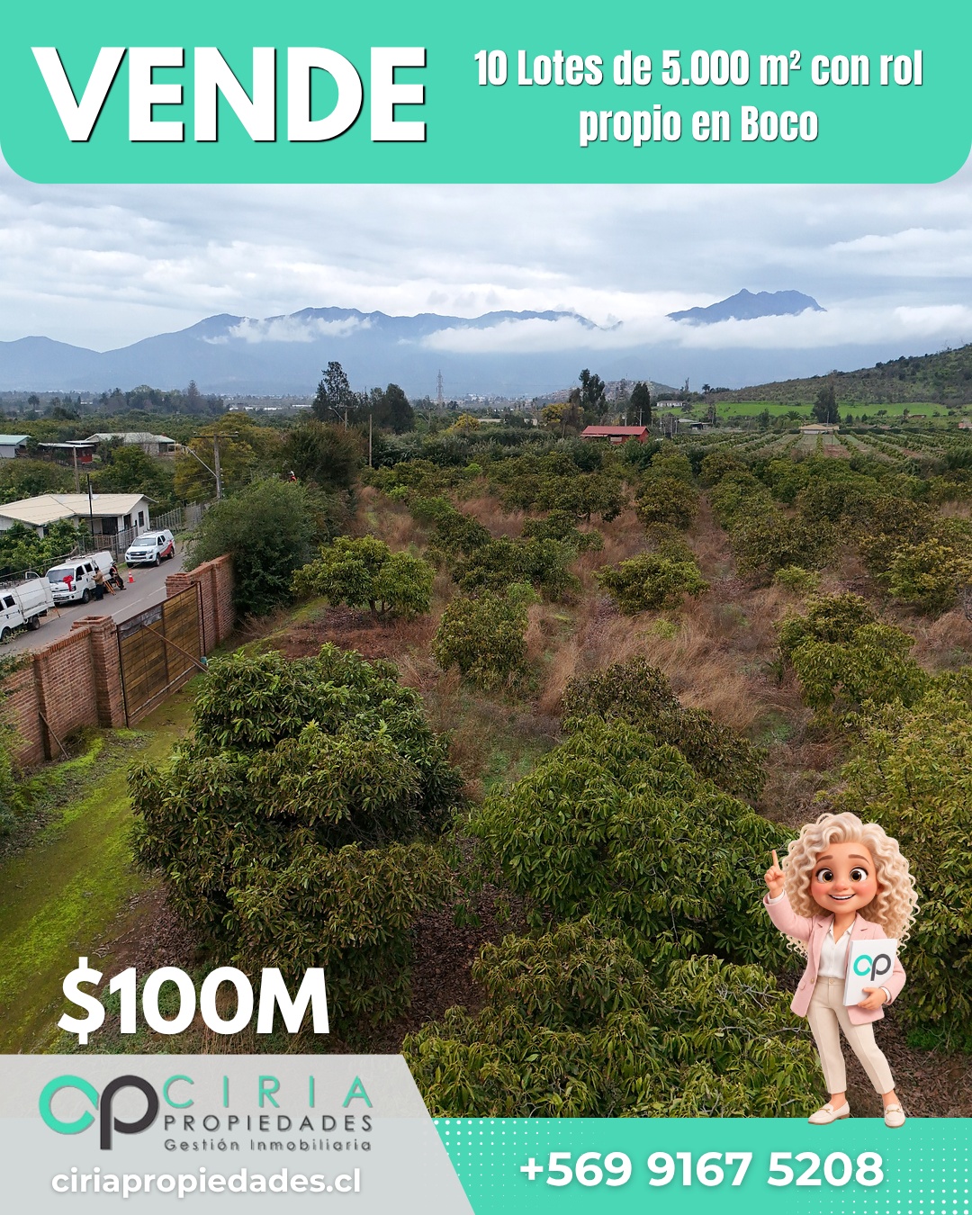 10 Lotes de 5.000 m² con rol propio en Boco - Quillota - Imagen 6