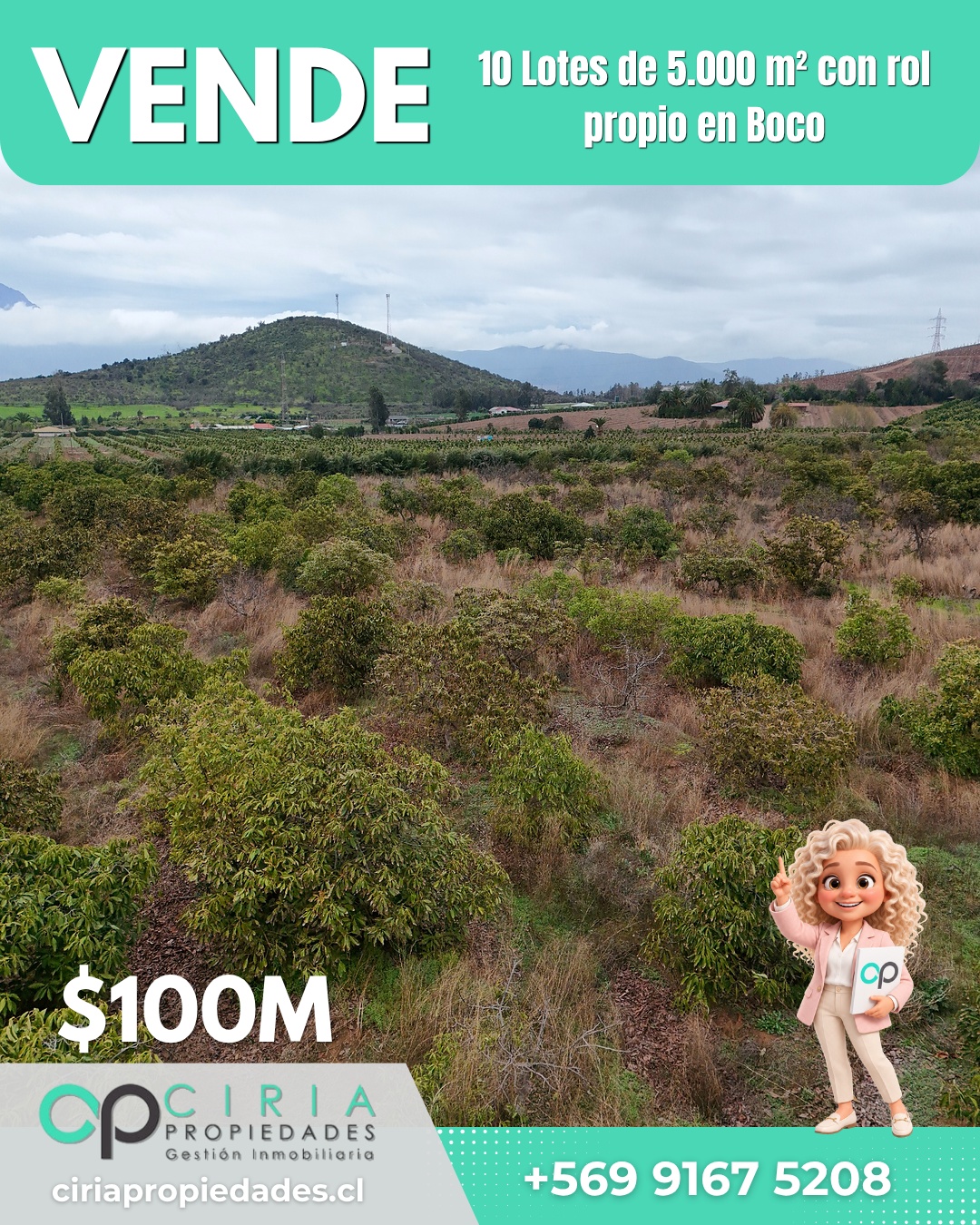 10 Lotes de 5.000 m² con rol propio en Boco - Quillota - Imagen 7