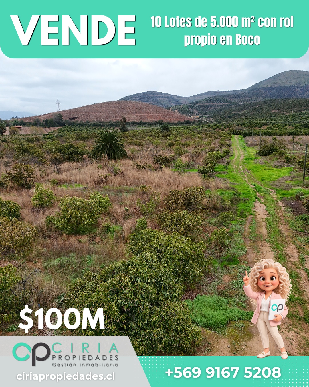 10 Lotes de 5.000 m² con rol propio en Boco - Quillota - Imagen 5