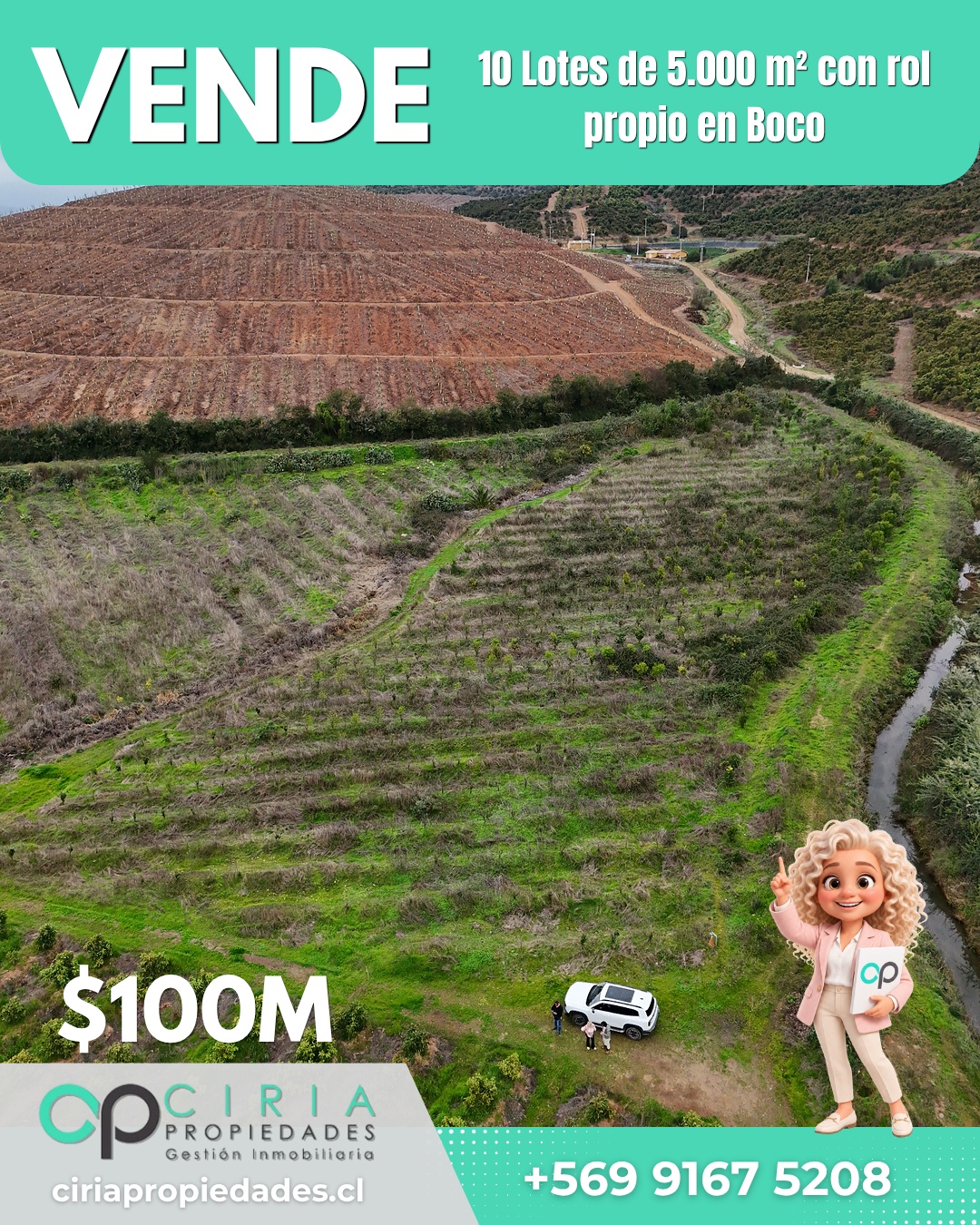 10 Lotes de 5.000 m² con rol propio en Boco - Quillota - Imagen 2