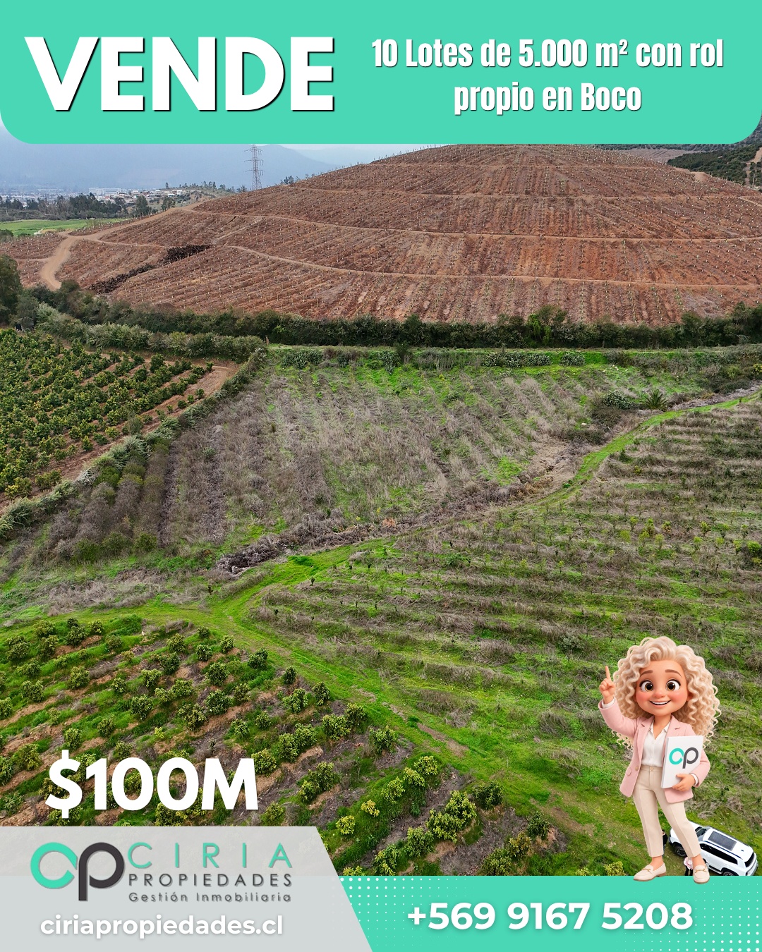 10 Lotes de 5.000 m² con rol propio en Boco - Quillota - Imagen 3
