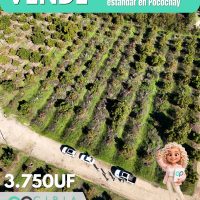 Parcela agro residencial de alto estándar en Pocochay