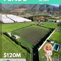 Vende Parcela plana de 5.000 m² en San Isidro